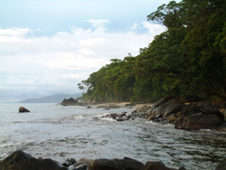 Masoala National Park
