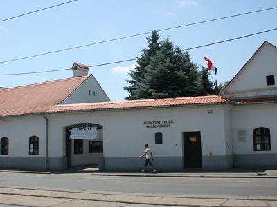 Medgyessy Ferenc Memorial Museum