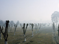 Mehtab Bagh Mehtab Bagh