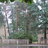 Meza Park 