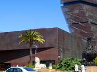 M. H. de Young Memorial Museum
