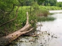 Mielno Reserve