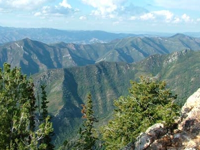 Mill Creek Canyon
