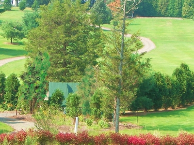 Miner Hills Family Golf, Llc Miner Hills Family Golf, Llc
