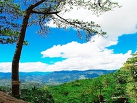 Mines View Park