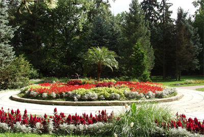 Miskolctapolca park networks