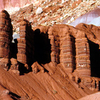 Moenkopi/Chinle Formations Along Scenic Drive - Capitol Reef - U