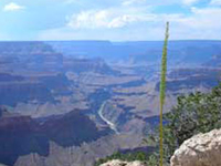 Mohave Point