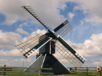 Goutum