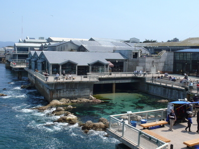Monterey Bay Aquarium