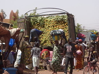 Mopti