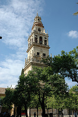 Mosque-Cathedral