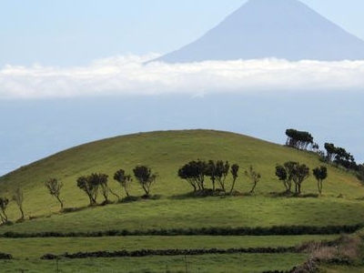 Azores