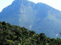 Mount Wrightson