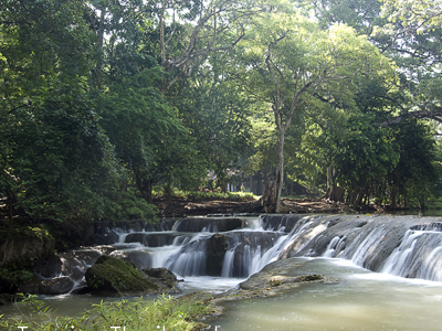 Muak Lek Arboretum Muak Lek Arboretum