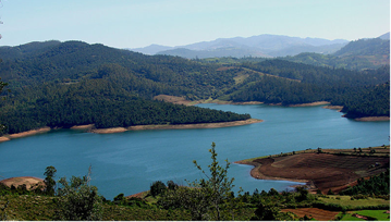 Mudumalai - Pykara Lake