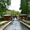 Mughal Gardens At Achabal