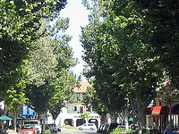 Sunnyvale Sunnyvale