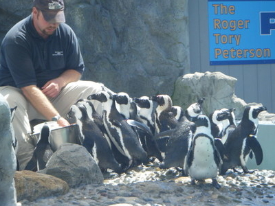 Mystic Aquarium and Institute for Exploration