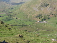 Martindale Martindale