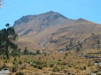 Matlalcueitl