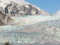 Mendenhall Glacier