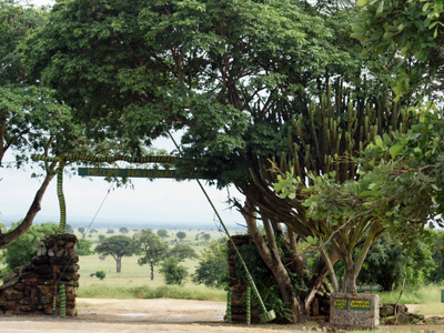 Mikumi National Park