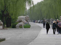 Ming Dynasty Tombs