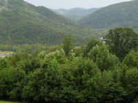 Moccasin Gap