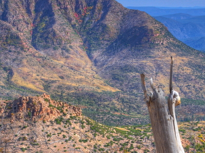Mogollon Rim