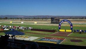 Morphettville Racecourse