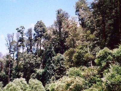 Mount Hyland Nature Reserve