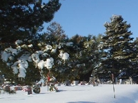 Mount Olivet Cemetery Mount Olivet Cemetery