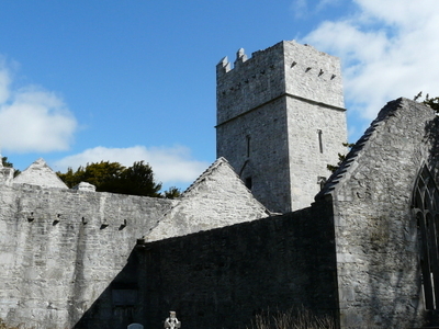 Muckross Abbey