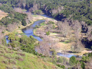 Los Padres Arroyo Seco Campground Greenfield United