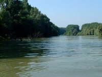 Nagy-Pandúr-Island