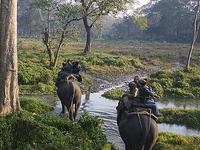 Nahargarh Elephant Safari