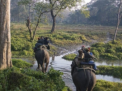 Nahargarh Elephant Safari