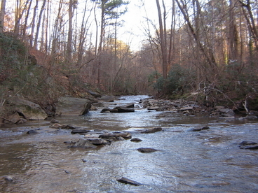Nancy Creek
