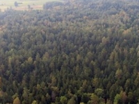 Nature Reserve Miodne