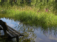 Ötscher Tormäuer Nature Park