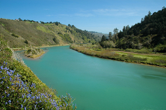 Navarro River
