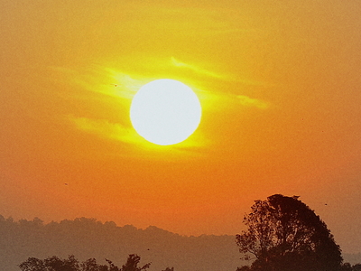 Navegaon National Park