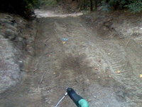 Nepaug State Forest