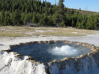 New Crater Geyser