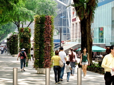 Orchard Road