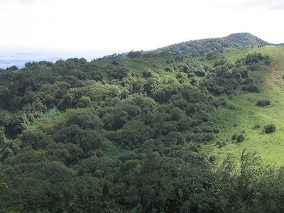 Ngong Hills