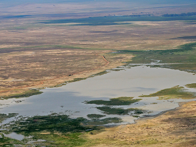 Ngorongoro Conservation Area