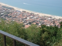 Nicotera