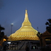 Night View Of Pagoda